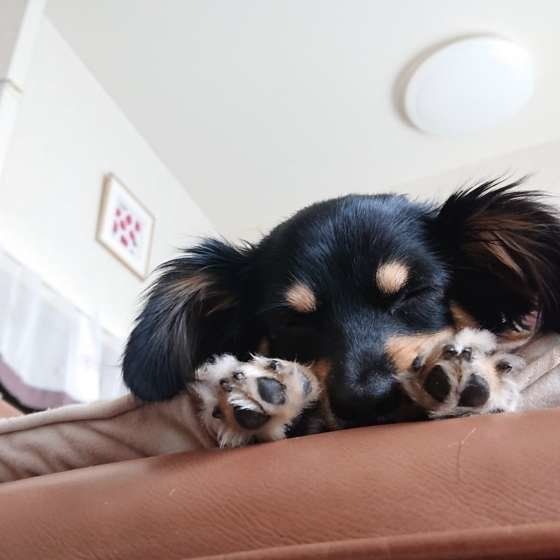 ミックス