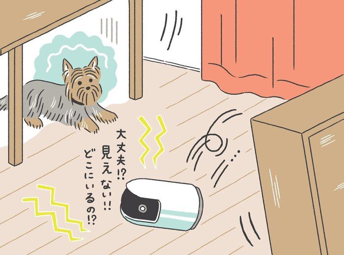 愛犬が留守番中の初動対応