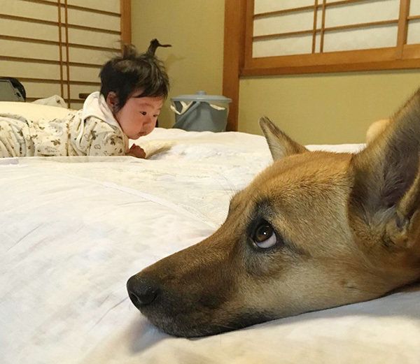 こむぎちゃん
