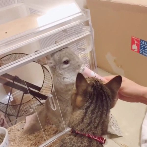 おやつタイムに全員大集合