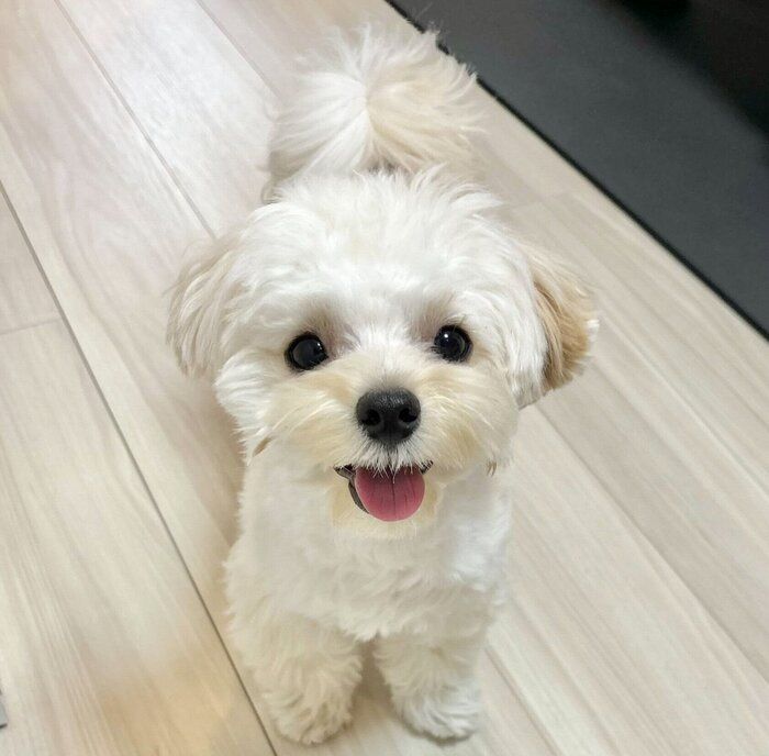 1才になったぽてとくん