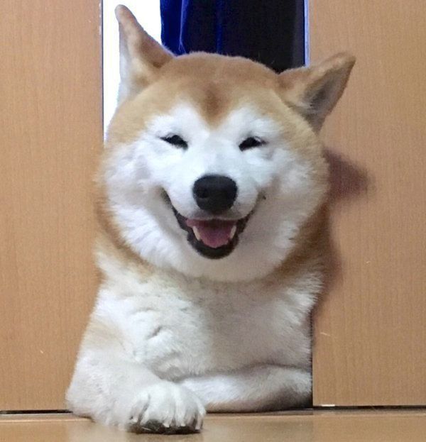 笑うロペさん
