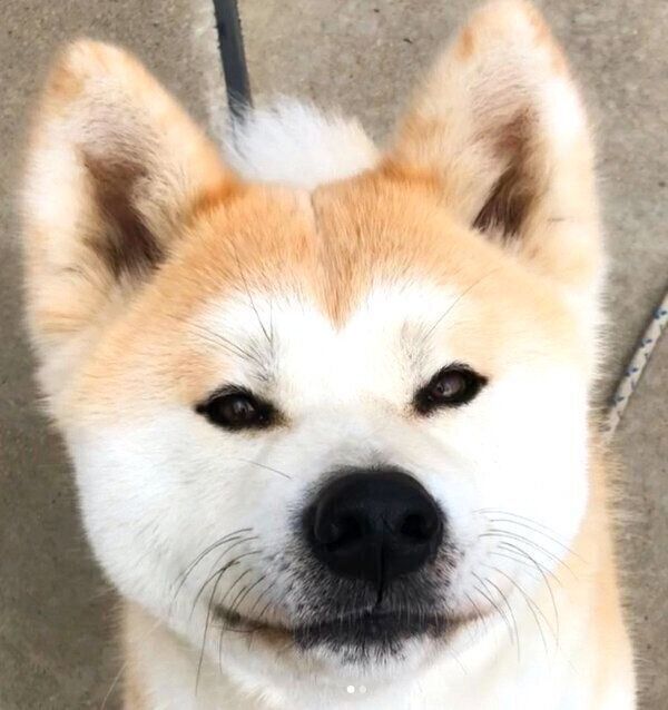 微笑む星ちゃん
