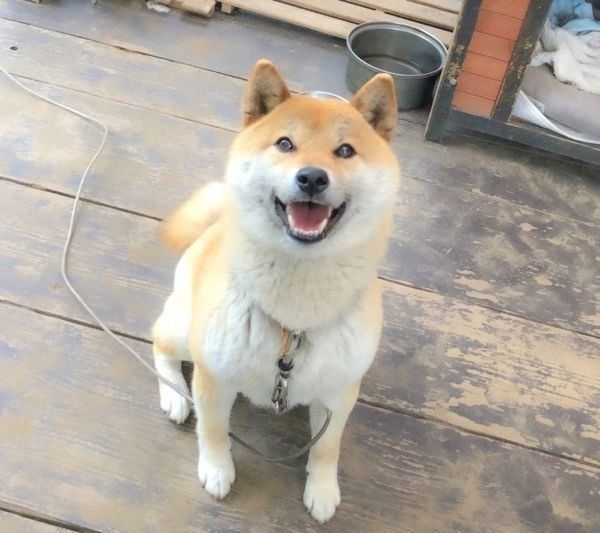 笑顔のそらくん