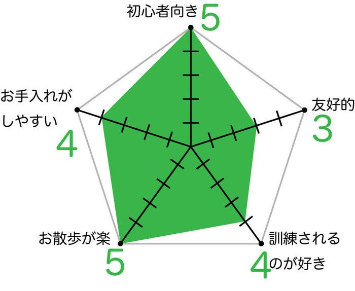 チワワのグラフ