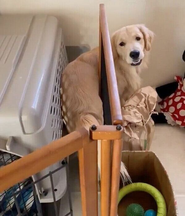 ビックリするまるくん