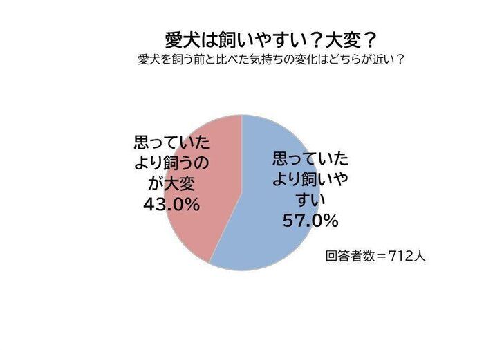 愛犬は飼いやすい？大変？