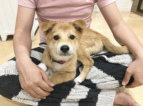 こたろうくん