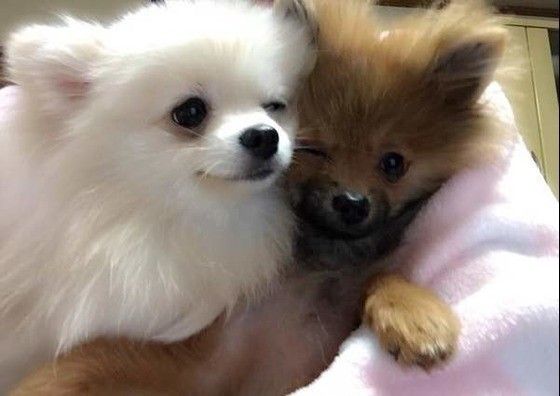 仲良し