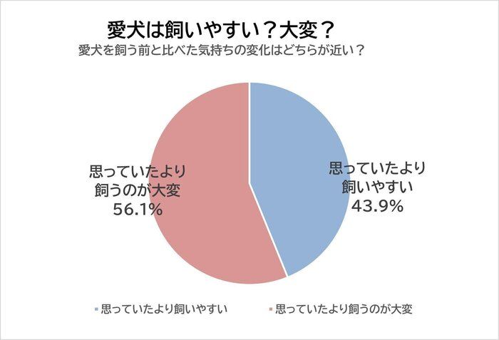 愛犬は飼いやすい？大変？