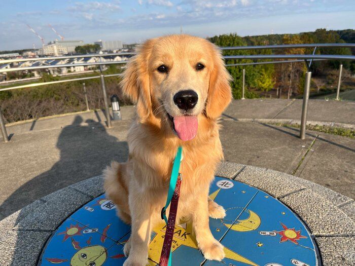 生後6カ月のころに撮影した陽南ちゃん