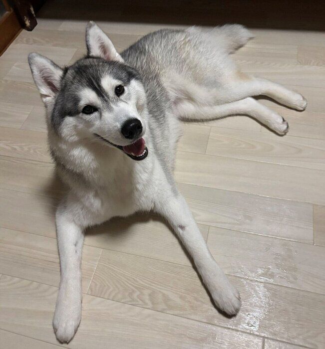 �˥��˥��ʥ८�����