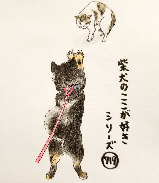 沖縄県 の 呼吸器系疾患 を診察する 動物 病院 の情報 評判 口コミ が見つかる いぬ のきもち ねこ のきもち 動物 病院 検索 獣医 猫 ネコ 犬 イヌ 1