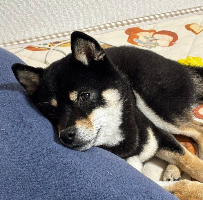 ���ˤ�����褻�륭��������