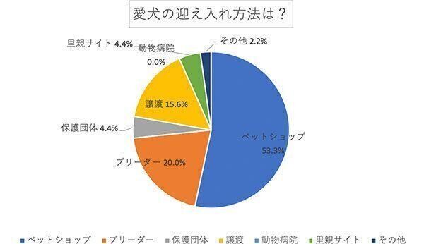 愛犬の迎え入れ方法は?
