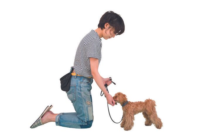 おすわり練習