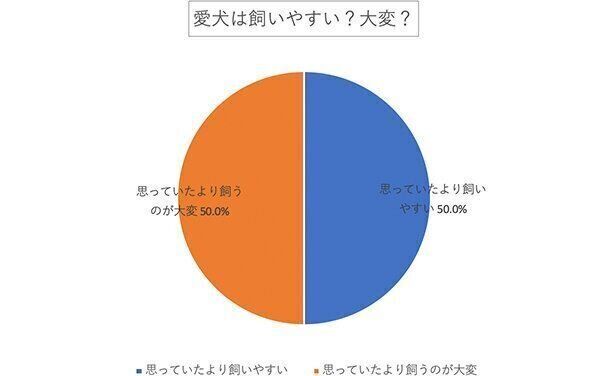 愛犬は飼いやすい? 大変?