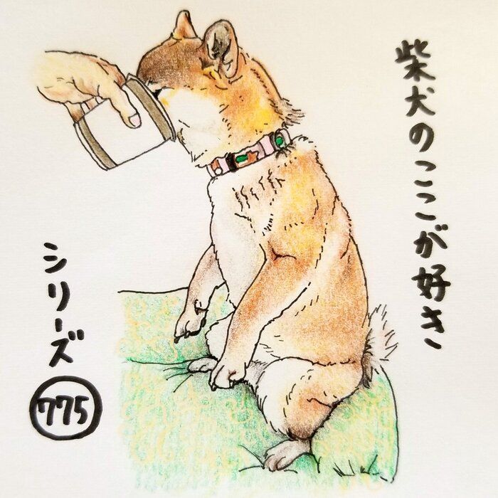 柴犬あるある たまに人間みたいな 膝 が現れるとこ 連載 ここ掘れここ柴 Vol 176 いぬのきもちweb Magazine 柴犬あるある たまに人間みたいな 膝 が現れるとこ 連載 ここ掘れここ柴 Vol 176 いぬのきもちweb Magazine