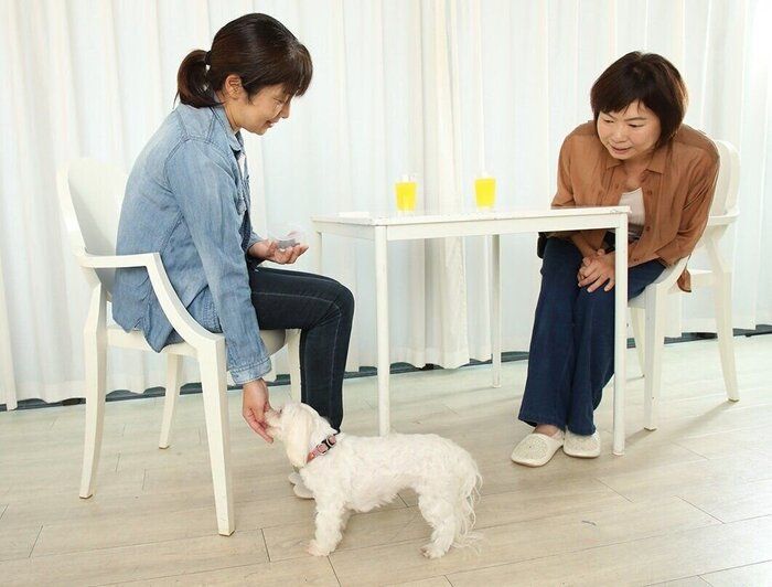 愛犬に「人とふれあい」に対して良いイメージを持たせましょう。協力してくれる友人(写真左)におやつを渡しておき、愛犬にさり気なくおやつを与えてもらって