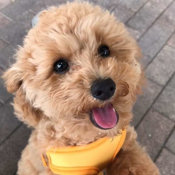 ニコニコ笑顔♪