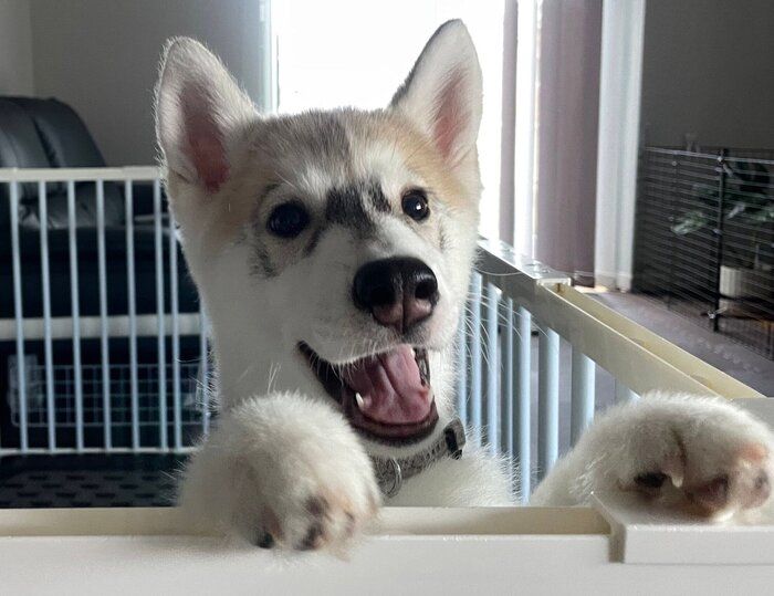 ニコニコのエマちゃん