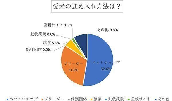 愛犬の迎え入れ方法は?