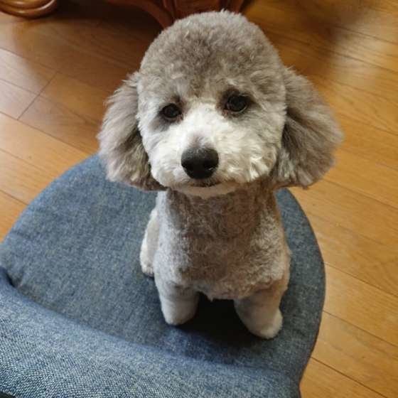 LaLaちゃん