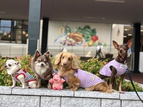 仲良し