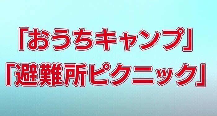 犬の防災対策