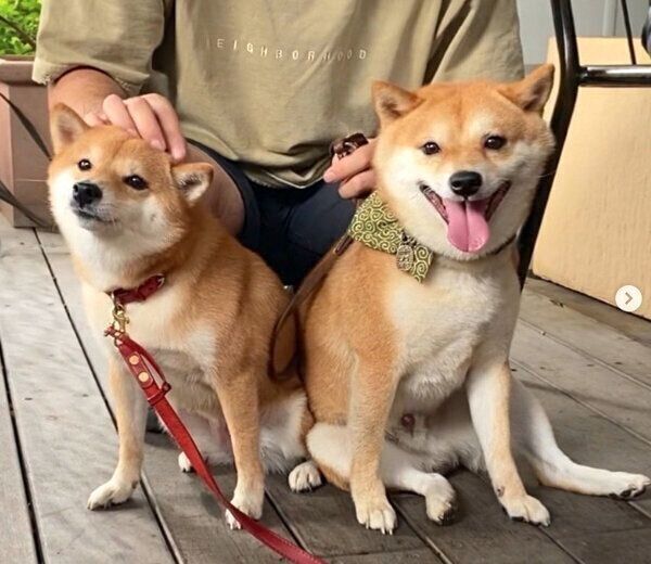 仲良しな豆千代くんとにこちゃん