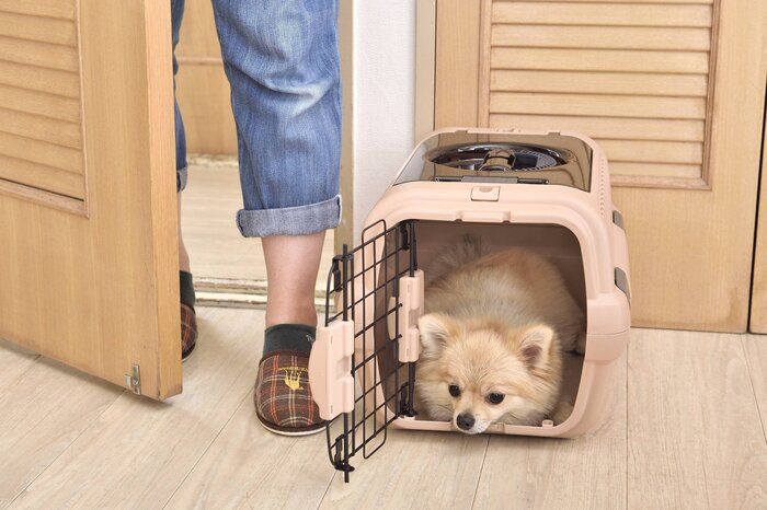 出入り口の近くは落ち着かないのでNG(写真/佐藤正之)