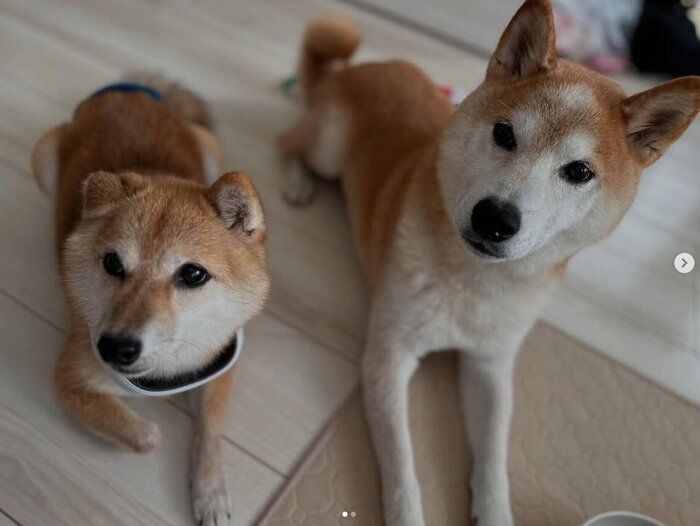 咲ク太郎くん、エマちゃん