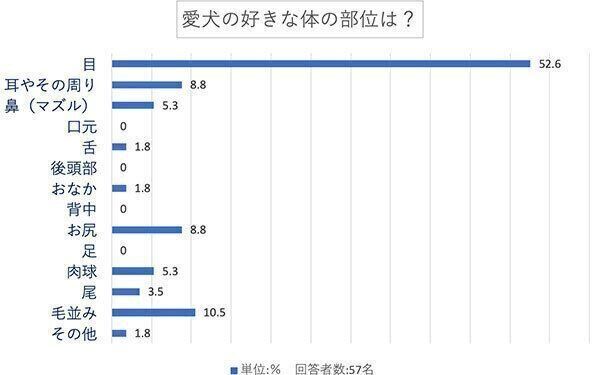 愛犬の好きな体の部位は?