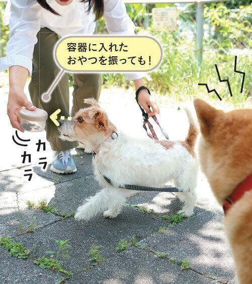 空気を読めずにじっとみてしまう場合