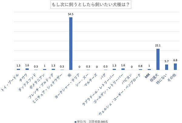 もし次に飼うとしたら飼いたい犬種は?