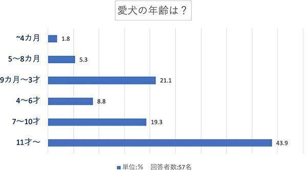 愛犬の年齢は?