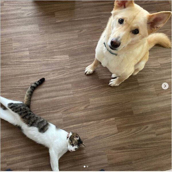 仲良しなくるりちゃんとななちゃん