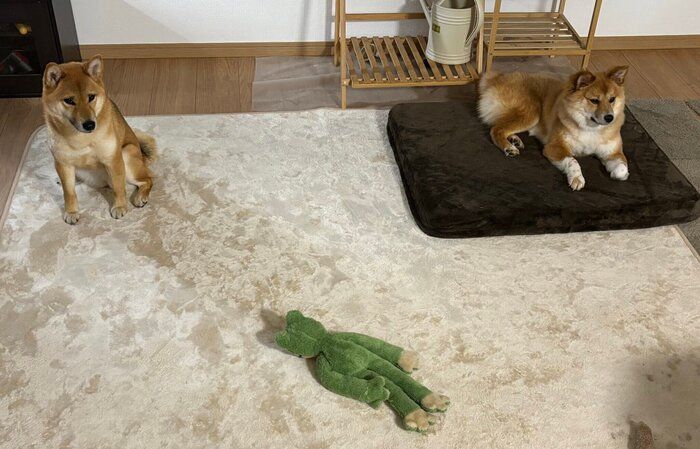 �轻�����ޤ������ȡ��ȥ饤��������ä������ΤʤΤ����