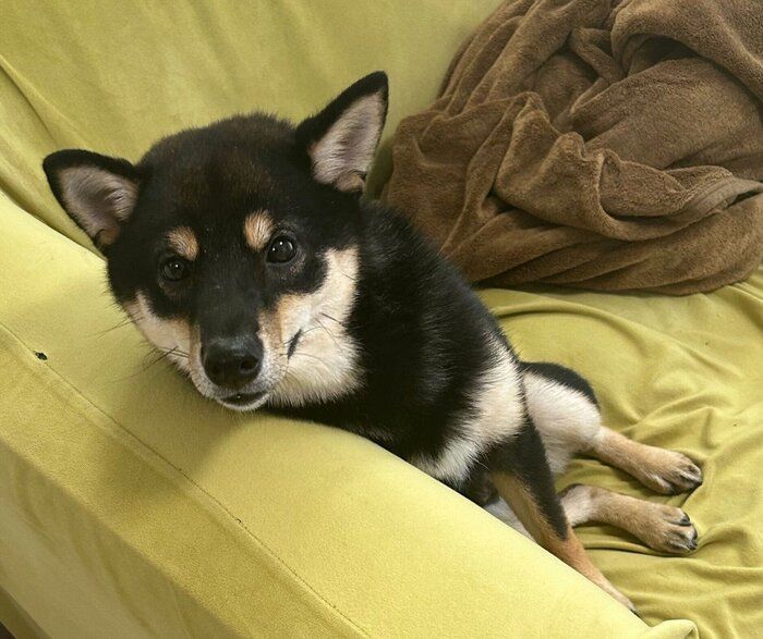 ニコニコとした表情を見せる大吉くん