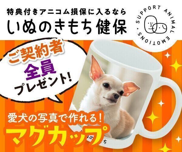 いぬのきもちWEB MAGAZINE｜もっと犬が好きになる。
