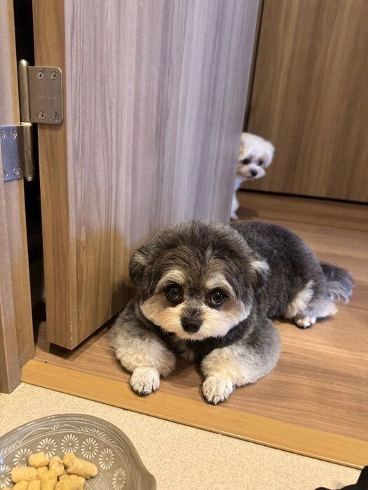 後方にいるとろろちゃんは気付いていない? 少しずつ距離を縮めるぽにょちゃん