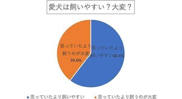 愛犬は飼いやすい?大変?