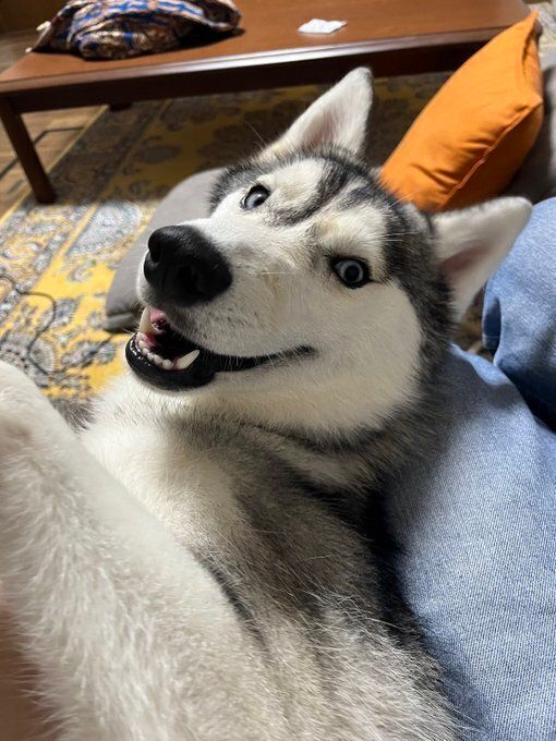 ������򸫾夲�륷�٥ꥢ�󡦥ϥ�����