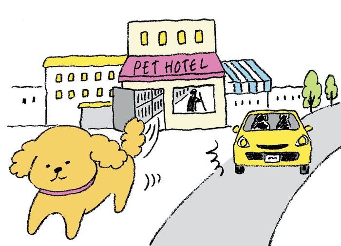 ペットホテルから脱走した愛犬が、不幸な事故に……(イラスト/別府麻衣)