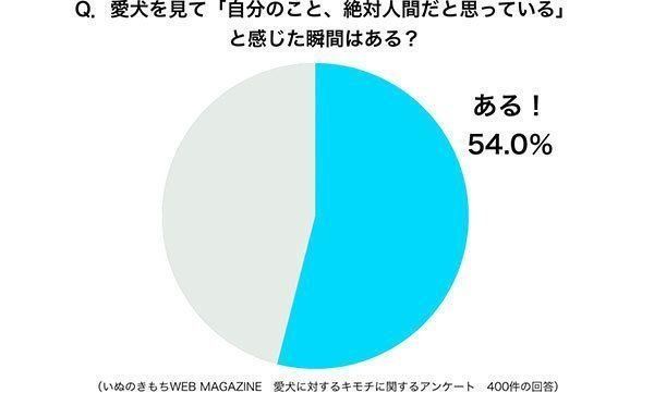 グラフ:愛犬を見て「自分のこと、絶対人間だと思っている」と感じた瞬間はある?