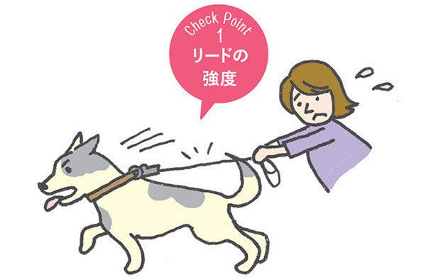リードの強度
