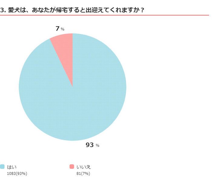 いぬのきもちアンケート いぬのコト360度ミニ調査 1,172件の回答