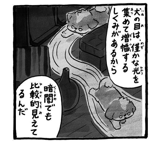 犬は暗闇でも見えるはず？横着した飼い主が見た「トイレシート外し」|連載「シーズー犬のてんぽ」第288回