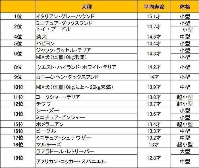 アニコム損害保険株式会社「犬種別平均寿命調査」より