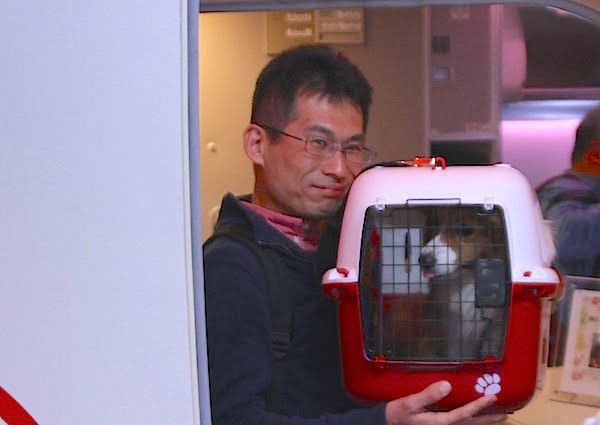 JALワンワンJET沖縄